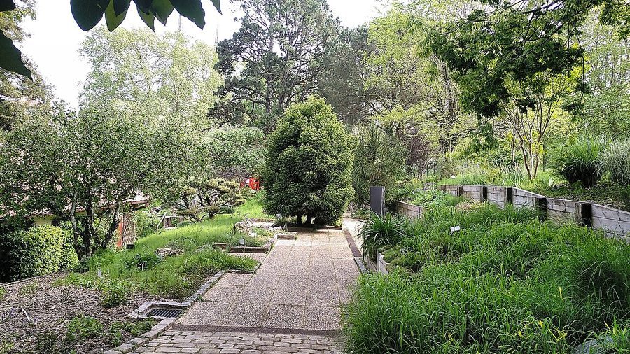 Jardin paysager Pyrénées-Atlantiques 64 — Bayonne, Biarritz, Pau — entretien et fertilisation pro