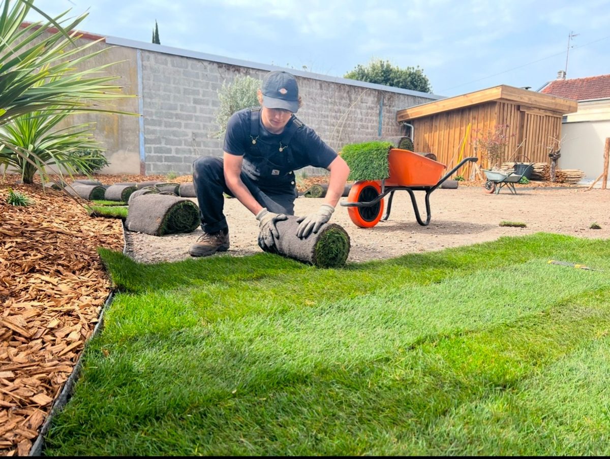 Paysagiste posant des rouleaux de gazon sur chantier — installation gazon en lés